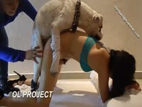 Beautiful petite girl got fucked in dog porno